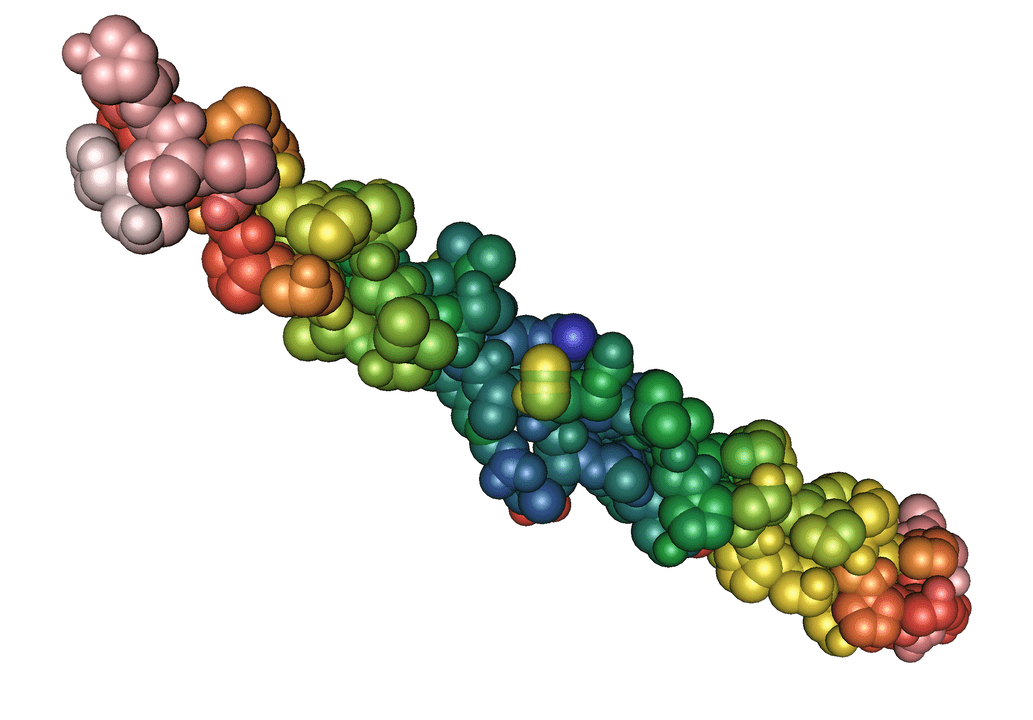 Elastin-Protein im Gel Pulsero Gel