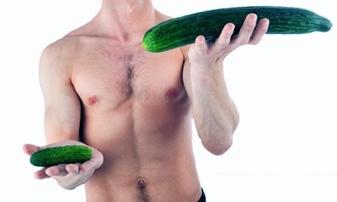 Visualisierung eines kleinen und großen männlichen Penis.